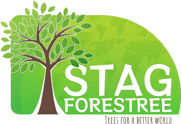 STAG Forestree